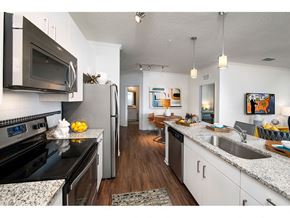 Orlando apartment for rent - kitchen