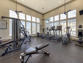Castle Rock apartment for rent - Cardio Machines In Gym at Echo Ridge