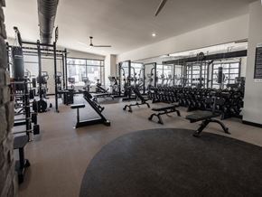 Washington townhouse for rent - A gym with a variety of equipment including weights and a bench press.