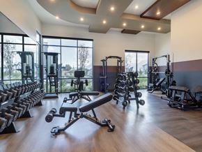 Midvale apartment for rent - Free Weights and Machines in Gym at Amara