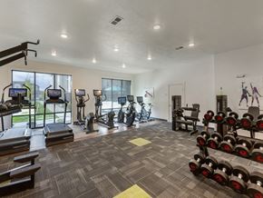Tremonton apartment for rent - Large Gym at Matheson in Tremonton, UT