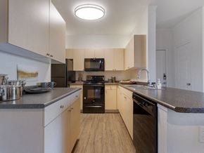 Castle Rock apartment for rent - Fully Equipped Kitchen at Echo Ridge