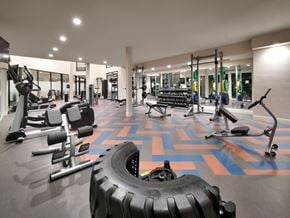Salt Lake City apartment for rent - The Stack - Sugarhouse Apartments Gym with Elite Equipment
