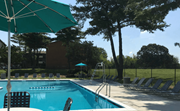 Forestville apartment for rent - A pool with chairs and umbrellas is surrounded by trees The District at Forestville Apartments , Forestville, MD