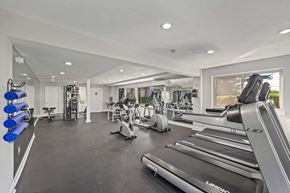 Forestville apartment for rent - Two Level Fitness Center at The District at Forestville Apartments , Maryland, 20747