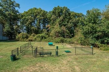 Dog park