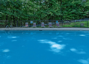 Newnan apartment for rent - A pool surrounded by trees and chairs.