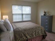 Philadelphia apartment for rent - Guest Bedroom