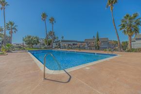 Pittsburg apartment for rent - A pool surrounded by palm trees and a building in the background.