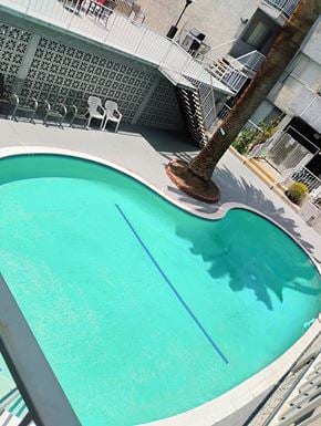 Winnetka townhouse for rent - A palm tree is in the middle of a pool.