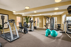 Buena Park apartment for rent - A gym with treadmills, weights, and exercise balls.