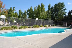 Modesto apartment for rent - a swimming pool with a basketball court in the background