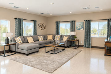 Douglas apartment for rent - A living room with a grey sofa and a rug.