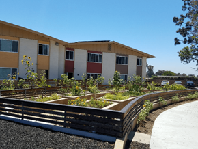San Diego apartment for rent - Common area planters