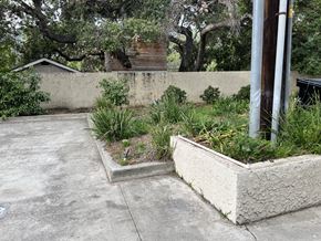 Verdugo City apartment for rent - A concrete planter box with green plants in the foreground and a grey wall in the background.