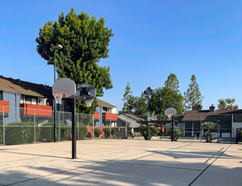 Basketball court
