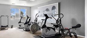 Inglewood apartment for rent - a group of exercise bikes sitting next to each other