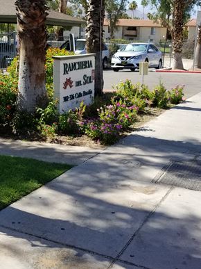 Palm Springs apartment for rent - a sign on the side of a sidewalk next to a tree