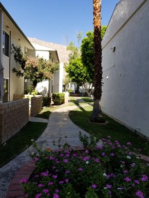 Palm Springs apartment for rent - a walkway between two buildings in a yard with purple flowers