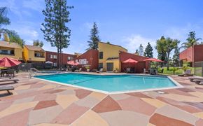West Covina apartment for rent - the swimming pool at our apartments at Brookhollow Apartments, West Covina , California