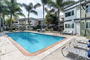 North Hollywood apartment for rent - A swimming pool surrounded by palm trees and lounge chairs.