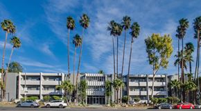Los Angeles apartment for rent - A row of palm trees in front of a building.