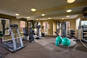 Buena Park apartment for rent - A gym with a variety of equipment including treadmills, weights, and exercise balls.