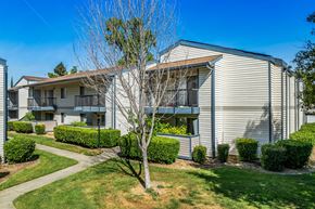 Sacramento apartment for rent - A tree stands in front of a building with a metal siding.