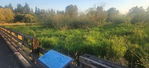 Kirkland apartment for rent - A blue sign is on a wooden fence in a grassy field.