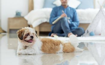 Pet-friendly community