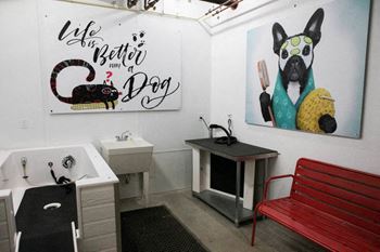 Pet spa