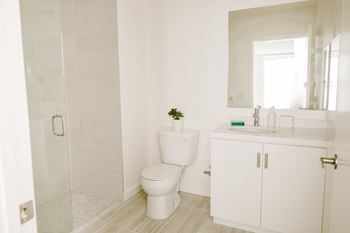 Custom tiled bathrooms