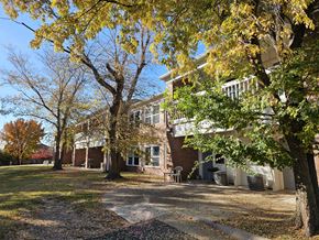 Wichita apartment for rent - A tree with yellow leaves in front of a building.