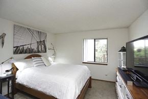 Wichita apartment for rent - a bedroom with a bed and a tv and a window