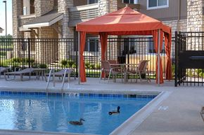 Wichita apartment for rent - two ducks swimming in a pool with a red umbrella