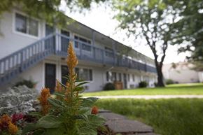 Wichita apartment for rent - a flowering plant in front of a building