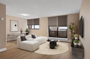 Ottawa apartment for rent - A living room with a white couch, a rug, and a television.