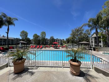 Shimmering swimming pool