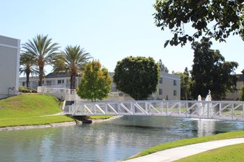 Spectacular views of lake