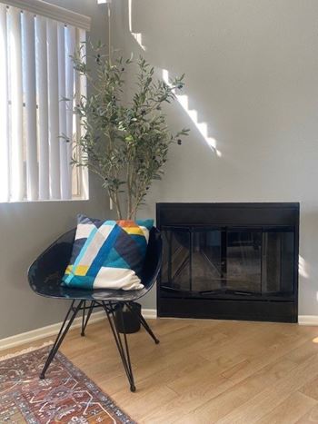 Gas fireplace*