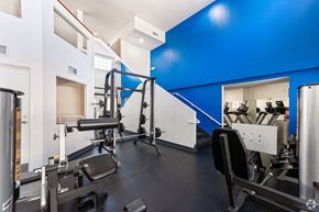 Walnut Creek apartment for rent - a gym with weights and cardio equipment and a blue wall