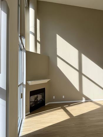 Gas fireplace*