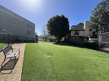 Dog park