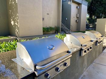 Gas barbecue and picnic areas
