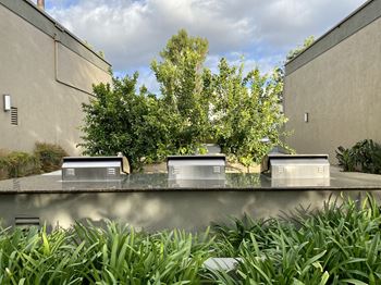 Gas barbecue and picnic areas