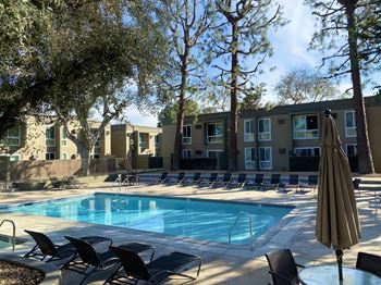 Shimmering swimming pool