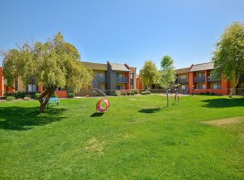 Pet-friendly dog park