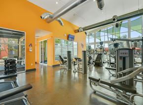 Tempe apartment for rent - Fitness center with brand new equipment and workout machines