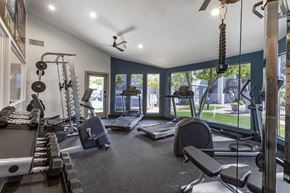 Phoenix apartment for rent - a gym with weights and cardio equipment and windows with a view of the yard