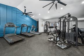 Glendale apartment for rent - the gym at the enclave at woodbridge apartments in sugar land, tx